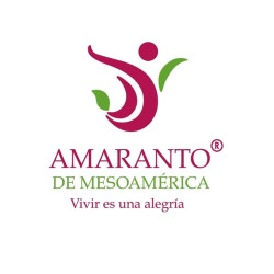 Amaranto de Mesoamérica 